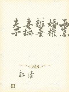 夫妻离婚两个儿子抚养权怎么判定