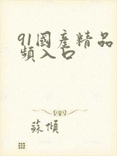 91国产精品视频入口