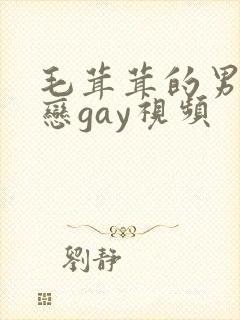 毛茸茸的男同性恋gay视频
