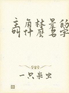 主角林晨的小说叫什么名字封面