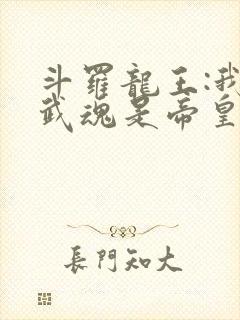 斗罗龙王:我的武魂是帝皇铠甲免费阅读封面