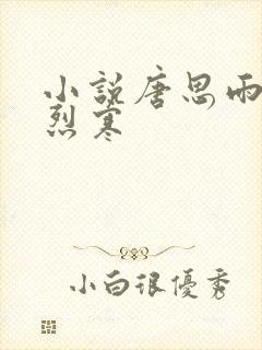 小说唐思雨和邢烈寒封面