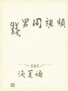 gv男同视频在线