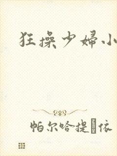 狂操少妇小说封面