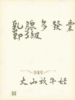 乳腺多发囊性结节3级