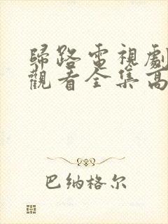 归路电视剧免费观看全集高清封面