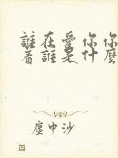 谁在爱你你在爱着谁是什么歌里的词