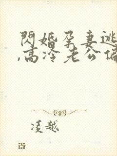 闪婚孕妻逃不掉,高冷老公偏要宠短剧封面