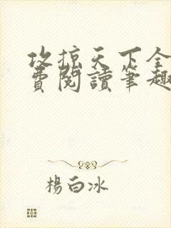 攻掠天下全文免费阅读笔趣阁封面