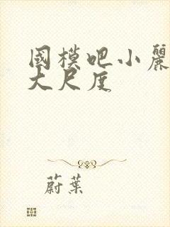 国模吧小丽裸体大尺度封面