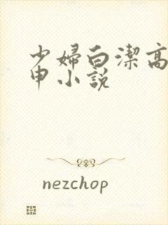 少妇白洁高义王申小说封面