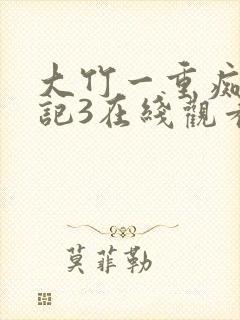 大竹一重痴汉日记3在线观看