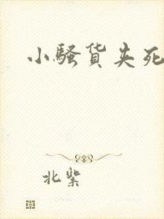 小骚货夹死我了封面