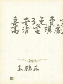 妻子3免费完整高清电视剧在线观看封面