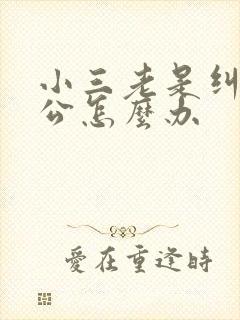 小三老是纠缠老公怎么办