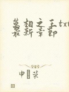 万相之王txt最新章节封面