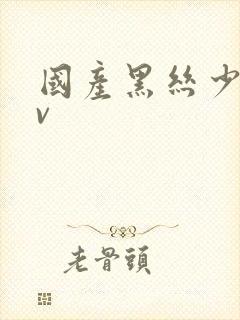 国产黑丝少妇av封面