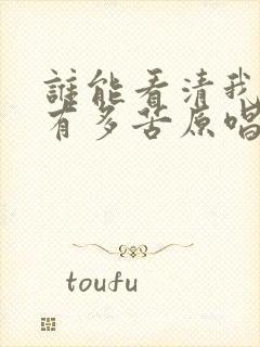 谁能看清我心里有多苦原唱完整版