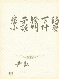 痞子胯下的那篇小说叫什么