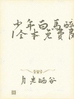 少年白马醉春风1全本免费阅读