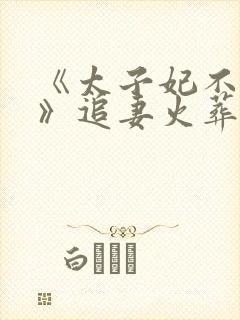 《太子妃不干了》追妻火葬场