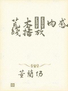 荒木りな肉感在线播放