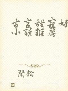 古言甜宠好看的小说推荐