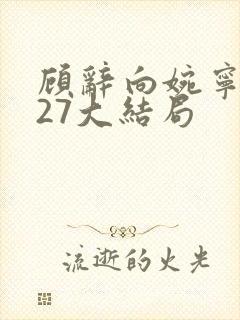 顾辞向婉宁番外27大结局封面