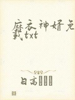 麻衣神婿免费下载txt