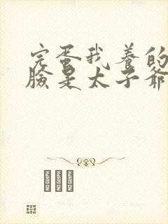 完蛋我养的小白脸是太子爷短剧