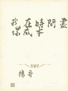 我在时间尽头等你成本