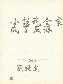 小说我全家都穿成了反派封面
