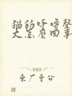 猫的呼噜声特别大怎么回事