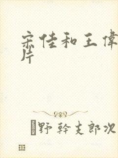 宋佳和王伟的照片