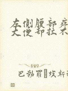 左侧腹部疼痛想大便却拉不出来封面