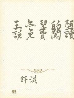 王冬儿的堕落小说免费阅读