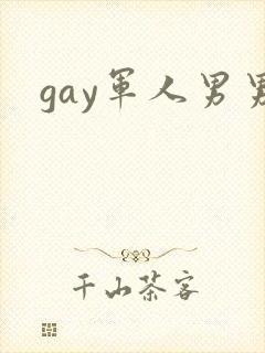 gay军人男男
