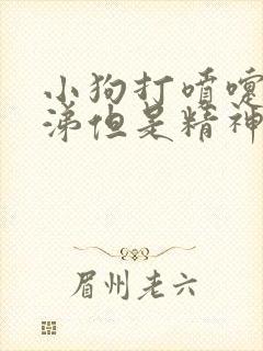 小狗打喷嚏流鼻涕但是精神很好封面