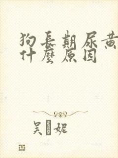 狗长期尿黄尿是什么原因