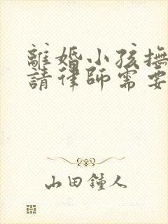 离婚小孩抚养权请律师需要多少钱