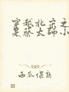 穿越北宋之我爹是蔡太师小说