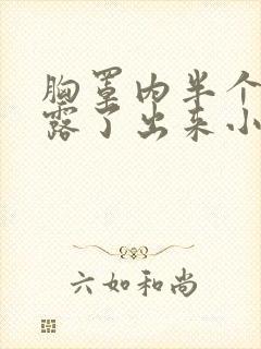 胸罩内半个奶都露了出来小说