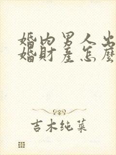 婚内男人出轨离婚财产怎么分割