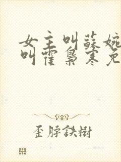 女主叫苏婉男主叫霍枭寒免费阅读