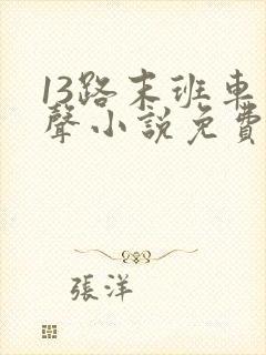 13路末班车有声小说免费听书