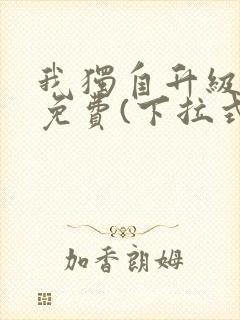 我独自升级漫画免费(下拉式)