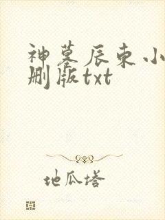 神墓辰东小说未删版txt