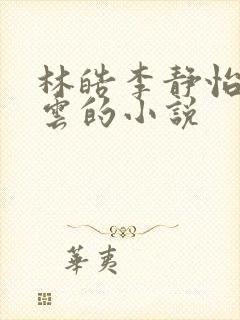 林皓李静怡苏沐云的小说封面