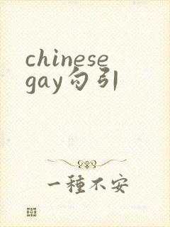 chinesegay勾引