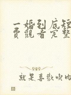 一婚到底短剧免费观看完整版